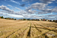 Hitnim mjerama Vlada RS-a pokušava pomoći poljoprivredi