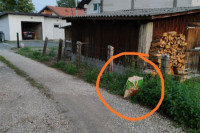 Detalji pronalaska bebe u Živinicama: Mislili smo da nam se priviđa