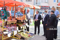 Ugljevik: Dobar rod i kvalitet šljive i obezbijeđeno tržIšte (FOTO)