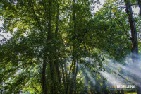 Pogledajte kakvo nas vrijeme očekuje u nedjelju