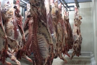 Počinje izvoz mesa iz BiH u Tursku