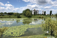 Sutra vedro i sunčano