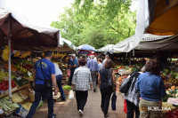 Bijeljina: Dobra ponuda voća i povrća, ali prodaja slaba