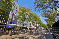 Kurc upozorava: Austrija će biti suočena sa 1.000 novozaraženih dnevno