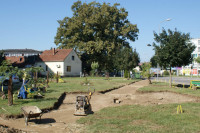 Rijedak primjer: Panj starog hrasta, izvučen iz Vrbasa, postaje fontana