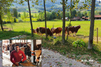 Stočarstvo na djedovini bolje od Njemačke