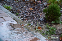 Danas oblačno, kiša i pljuskovi poslije podne u većini krajeva