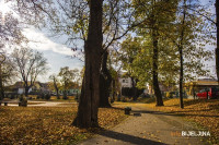 Danas pretežno sunčano i toplije