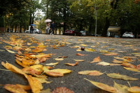 JESEN U SVOJIM BOJAMA Sutra u BiH promjenljivo vrijeme sa kišom i pljuskovima