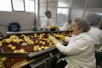 Korona srezala izvoz za 10 odsto