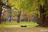 Sutra promjenljivo oblačno sa sunčanim intervalima