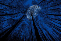 Rijedak fenomen: Plavi mjesec na nebu 31. oktobra