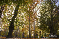 Oblačno uz sunčane periode