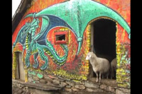 ZMAJ ČUVA OVCE Stado porodice Blagojević postalo hit zbog svog "čuvara"