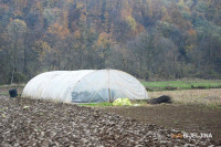 Pašalić: Pandemija pogodila i poljoprivrednike, ali Srpska ima dovoljno hrane