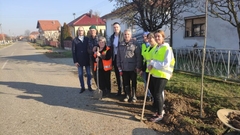 "Eko zeleni - Drina": U Janji planirana sadnja 240 stabala kuglastog bagrema 