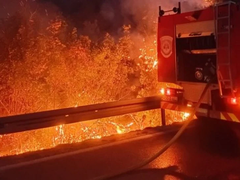 Haotično u Trebinju: Vatra se približila naseljima