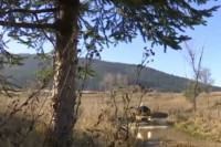 POŠTAR POSTAO PRAVA ATRAKCIJA U SVOM KRAJU “Brz je bio i prije, a tek sad kad je dobio ovu limuzinu"