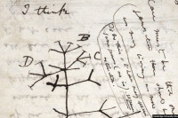 Darvinove sveske nestale prije 20 godina ipak vjerovatno ukradene