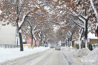 Kecman: Sve spremno za zimsko održavanje puteva