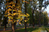 Vremenska prognoza za naredne dane