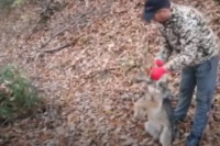 Zatekao vuka u kadi pa ga izbacio golim rukama