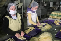 SEMBERSKI PRERAĐIVAČI U MINUSU: Proizvodnja daleko od plana, problemi zadali brige