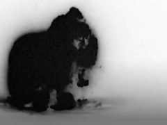 "Masovni udari" SAD-a u Siriji (VIDEO)