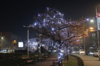 "Zvjezdano nebo" na ulicama Bijeljine