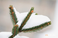 Stiže ledeni vikend u BiH