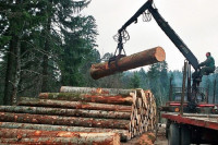 Rast proizvodnje i prodaje šumskih proizvoda u Srpskoj