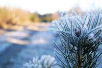 Sutra promjenljivo oblačno sa sunčanim intervalima