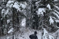 Nevjerovatna optička iluzija postala hit na internetu, šta vi vidite?