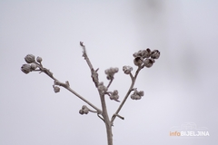 Tokom dana sunčano, uveče ponegdje moguća kiša ili snijeg