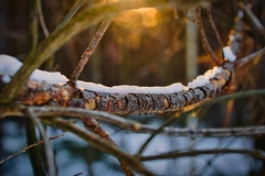 Oglasili se meteorolozi: Sutra ujutru TEMPERATURA U MINUSU, poznato koji dan DONOSI SNIJEG  
