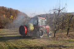 U voćnjacima počelo "plavo" prskanje: Stručnjaci upozoravaju na opasne bolesti