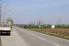 Bijeljina: Sadnjom novih stabala započela akcija “April – mjesec čistoće”