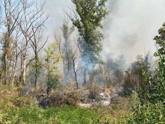 Vatrogasci se grčevito bore da ugase požar na semberskom izletištu 