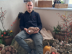 Kupres izrodio čudo prirode: Mrkva od dva kilograma, krompir od 2025 grama i priča o povratku zemlji