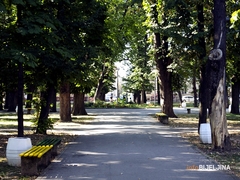Danas sunčano i toplo