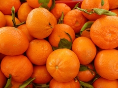 Mandarine čuvaju liniju, ali to nije njihova jedina prednost: Evo šta vitamin C i vlakna rade u organizmu