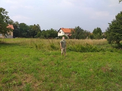 SEMBERCI MUKU MUČE SA AMBROZIJOM Poljoprivredni inspektori svakodnevno na terenu, minimalna kazna 200 KM