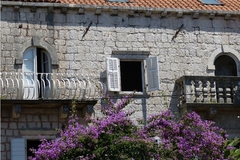 Horor u Igalu: Radnik pogrebnog preduzeća skelet pronađen u stanu bacio na deponiju