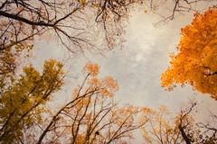 Danas promjenljivo oblačno i svježije