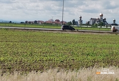 Izazovi u uzgoju kukuruza zbog velikih temperaturnih oscilacija u Semberiji