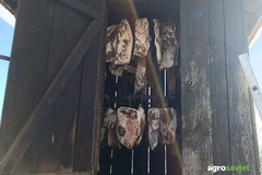 Najgora drva za dimljenje mesa – koje drvo IZBJEGAVATI da ne pokvarite ukus i zdravlje