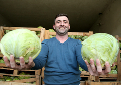 Petrović dramatizuje referendum "Tog dana birate da li ćete ikada više moći slobodno da birate"