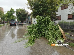 Bijeljina: Autom se zakucao u drvo (FOTO)