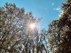 Sutra sunčano i toplije