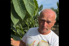Ljudi im se smijali kada su počeli, sada unaprijed prodaju gotovo cijeli rod